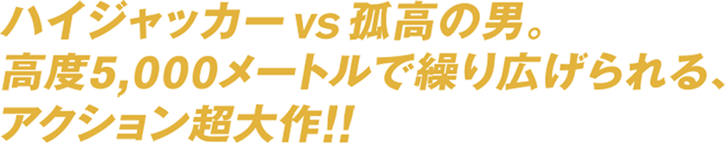 ハイジャッカーＶＳ孤高の男。高度5,000メートルで繰り広げられる、アクション超大作！！